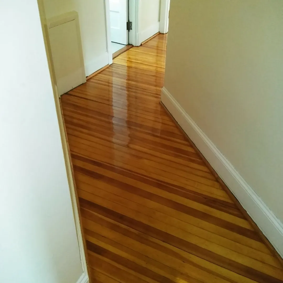 Home flooring options: hardwood vs. Luxury vinyl plank (lvp) 3 32325373 602001456852945 2808765310000168960 n e20b8fc19f2fcc85ee5d