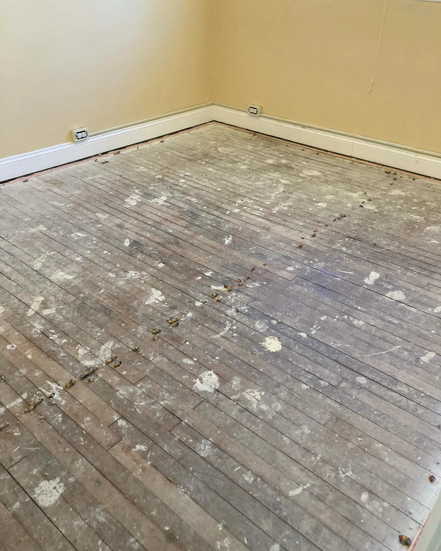 Top benefits of hardwood floor refinishing for homes in potomac, md 2 466357218 18445464460069081 5169114137169464720 n c965612f7d4e6db7ad18
